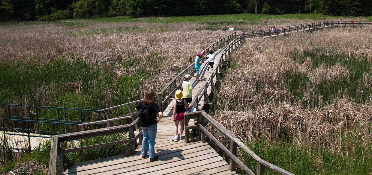 students on the boardwalk at Kortright Centre