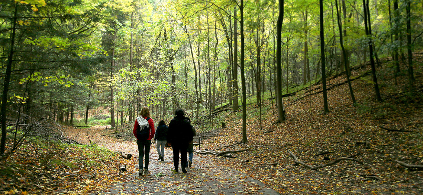 young women explore nature trail at Kortright Centre