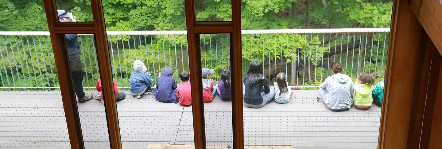 youngsters hone their nature observation skills at Kortright spy camp