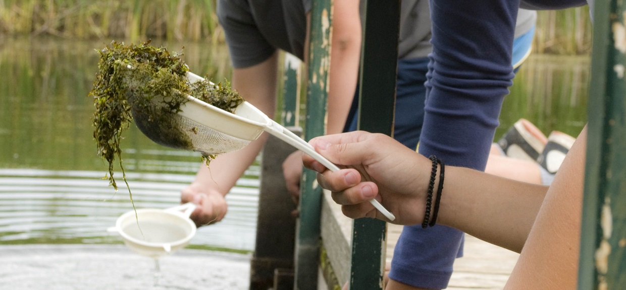 students conduct pond study at Kortright Centre