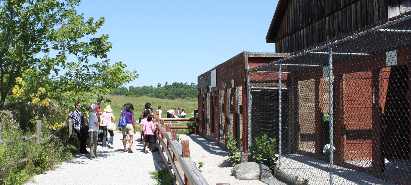 visitors tour Peregrine Barn at Kortright Centre