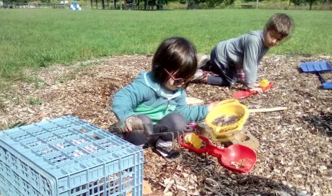 Nature School students at play