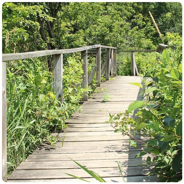 nature walk at Kortright Centre for Conservation