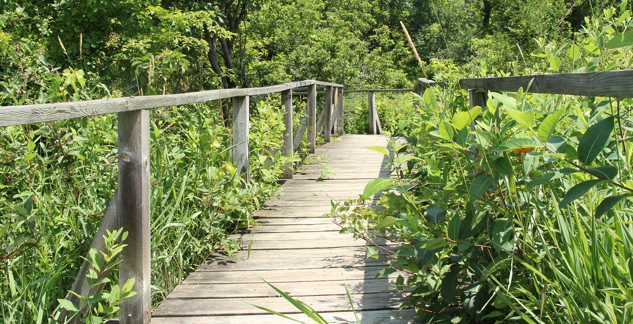 nature trail at Kortright Centre for Conservation