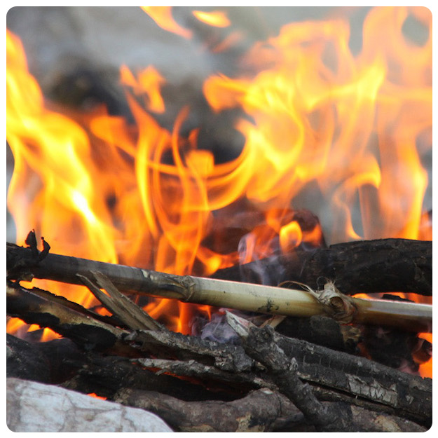 survival skills workshop at Kortright Centre for Conservation