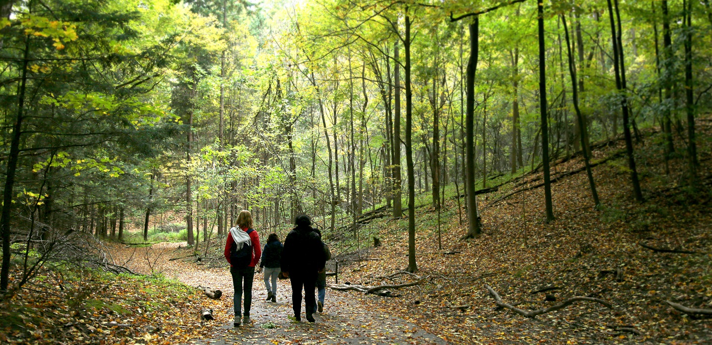 corporate group enjoys wellness walk in nature at Kortright Centre for Conservation