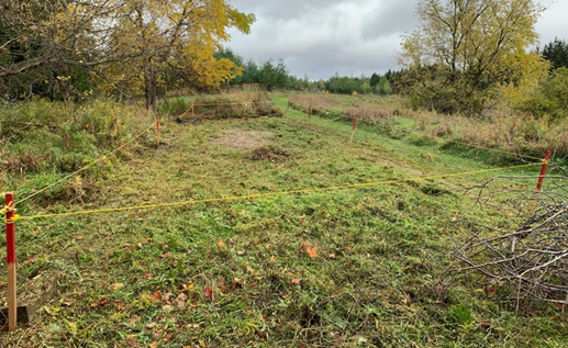 The overgrown sandbox before the students began working on it