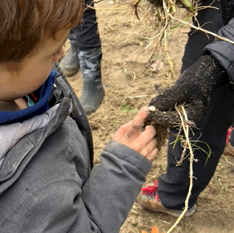 Students found many treasures in the old sandbox including insects and an old tarp