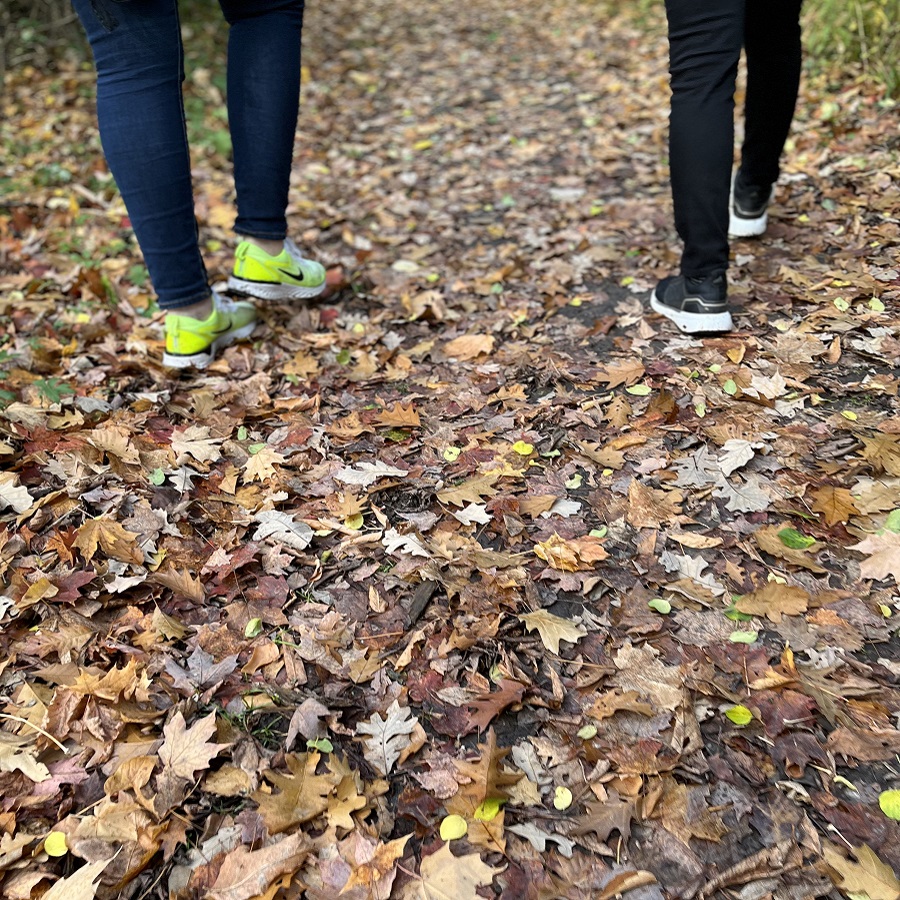 hikers explore a trail at the Kortright Centre for Conservation